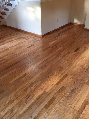 Beautifully Refinished Engineered Natural Red Oak Hardwood Flooring.