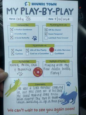 Play day report card