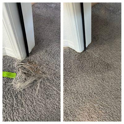 Alex's Carpet Repair