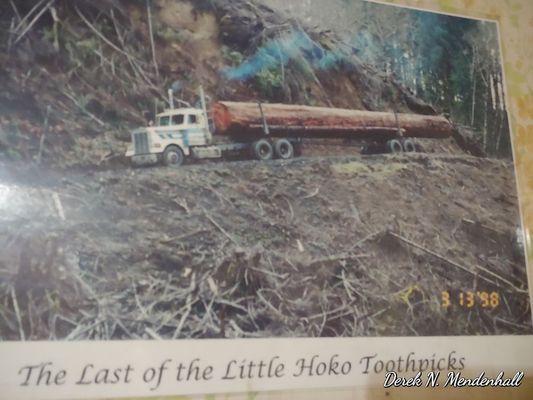 One of the Last logs taken out of the Hoko near Neah Bay WA, Circa 1998