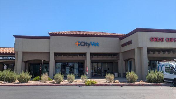 CityVet | Chandler