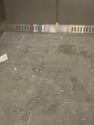 Filthy elevator