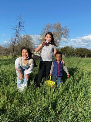 Grassy area by the elementary school