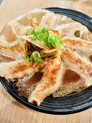 Miso Cashew Gyoza