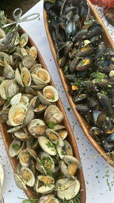 Little necks and Mussles