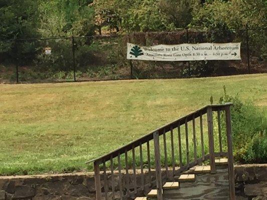 National Arboretum dock