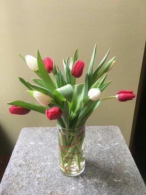 Fresh tulips in glass vase