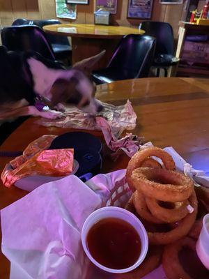 My hearing ear dog Whoopi always knows she's in for a lil treat when we go to the Brooklyn Park Pub.