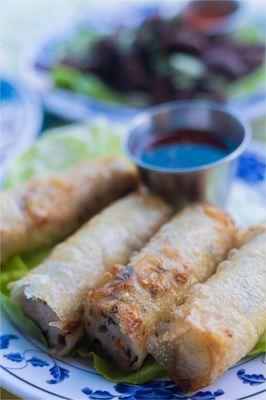 Chicken egg roll