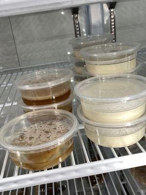 Take home your own kombucha scoby or sourdough starter!