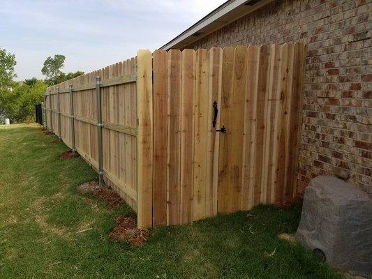 Cedar Fencing!