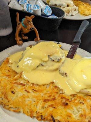 The eggs Benedict with Scooby