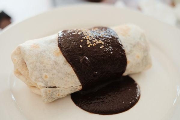 Chicken mole burrito