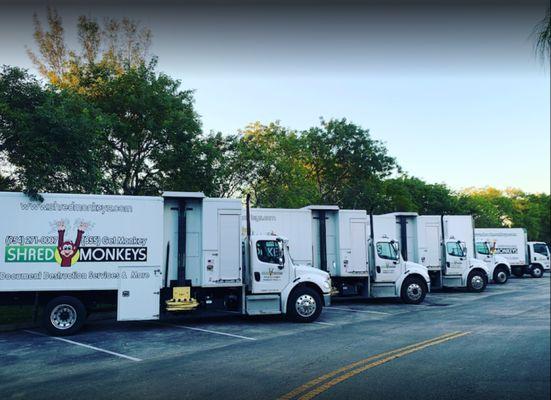 The Shred Monkeys fleet of on-site mobile shredding trucks. Shred Monkeys is an All Points Company serving South Florida with...