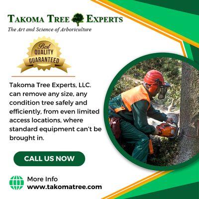 Elevate your outdoors with Takoma Tree Experts LLC! From tree care to landscaping & snow control, we've got you covered