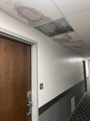 Ceiling leak in hall