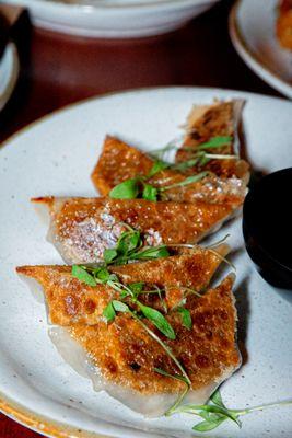 Gyoza Dumplings