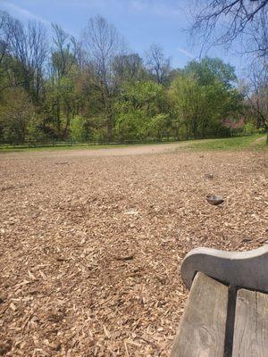 Open space at Curtis Dog park