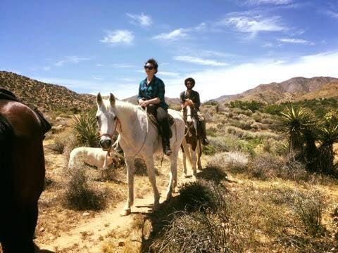 Riding through the desert! What an incredible experience :)