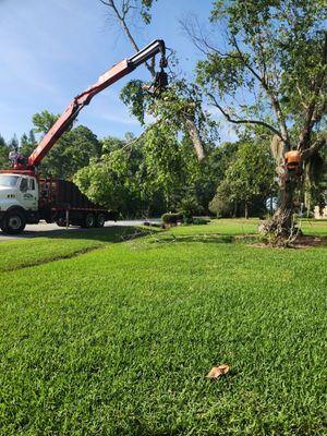 BLT Tree Service