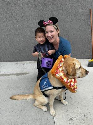 Pawsitive Trick-or-Treat - cheese!