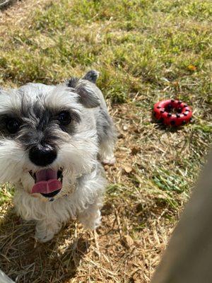 All smiles in the play yard!