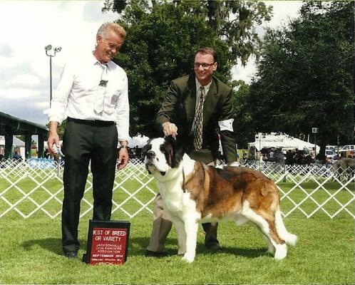 Doug (the owner of Puppy Avenue) and his dog Benny at his first show. Benny won best in breed!