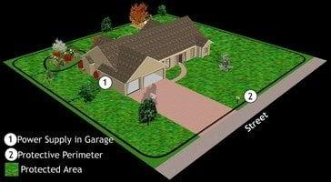 Whole yard layout