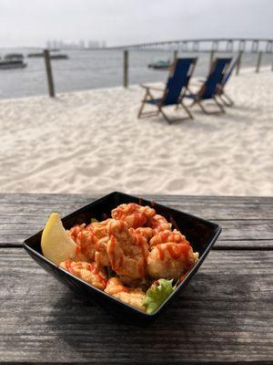 Firecracker shrimp and that view