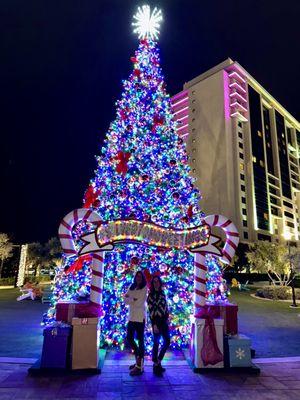 The beautiful Silverton Christmas Tree