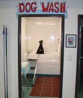 Do it yourself dog wash available at MVPR!