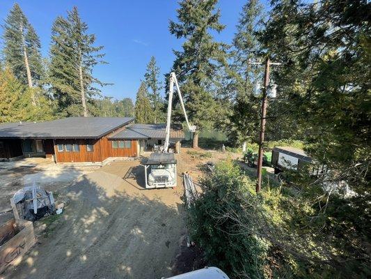 Tree pruning creating a safe space for the new home