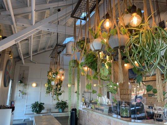 GREAT vibes.  Love the hanging plants :).