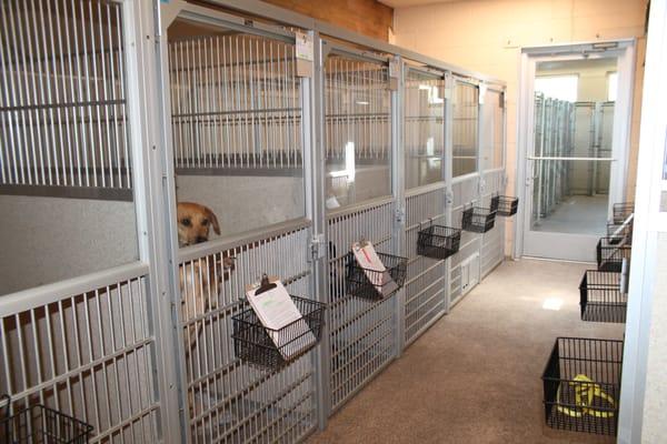 Large dog kennels