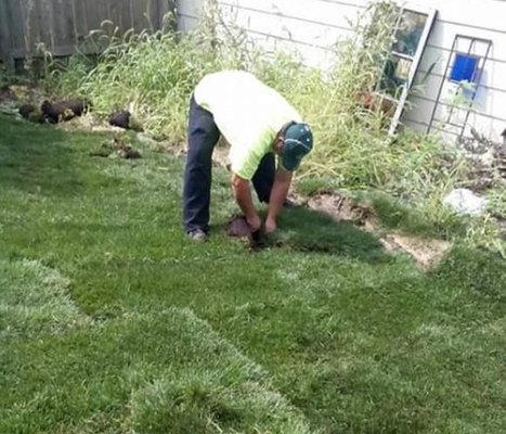 Green Hills Irrigation & Landscaping