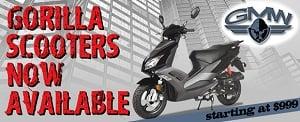 Motorsports of Tampa now sells Gorilla Scooters!