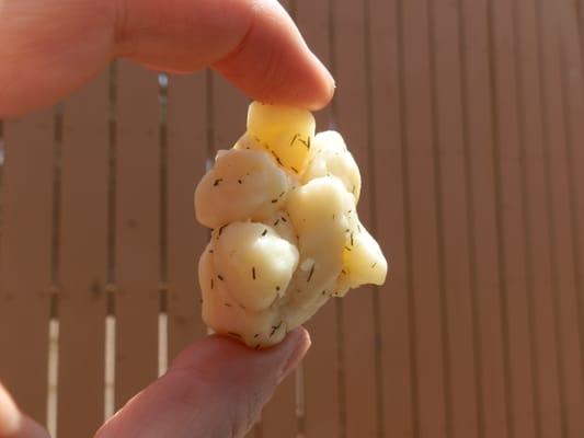 White Cheddar Cheese Curd with Garlic & Dill--sooooo good!