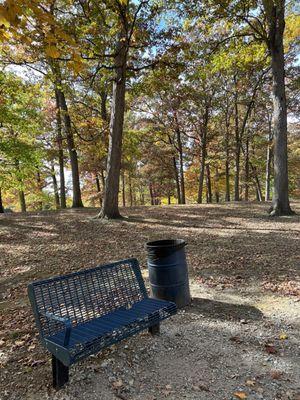 Benches and trash cans along the path