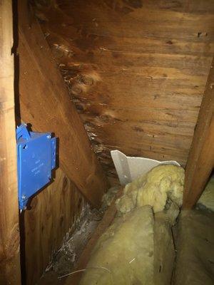 ATTIC STAINING OFTEN INDICATES ROOF LEAKAGE THAT CAN LEAD TO MOLD. AA-MSA INSPECTORS ARE CERTIFIED MICROBIAL INVESTGATORS.& KNOW WHAT TO