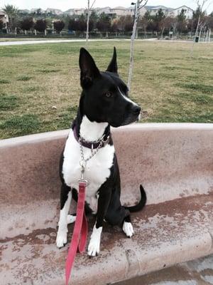 Checking out the action at the park.