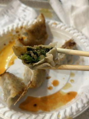 Fried Pork and Chive Dumpling