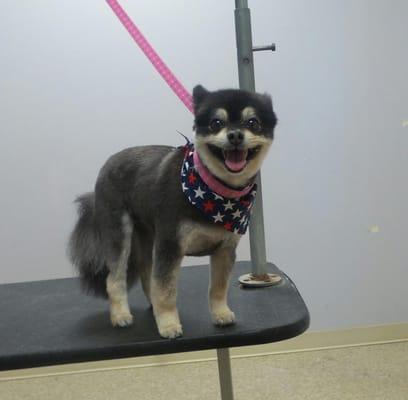 Loves her beauty day at Riverside Pet Grooming