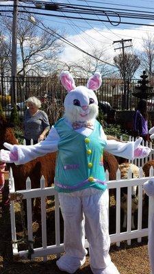 Easter Bunny at garden nursery