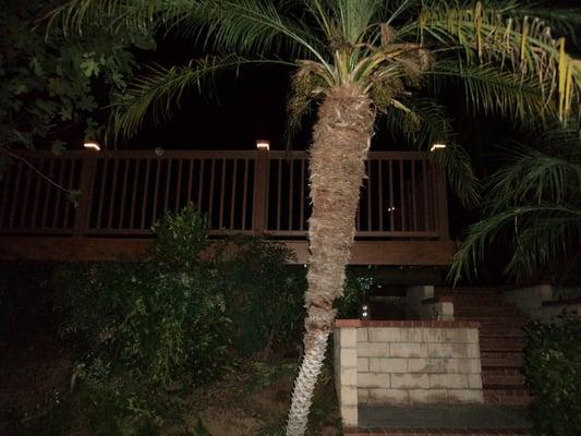 Nighttime View of Deck