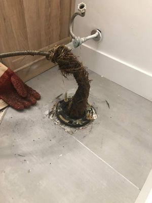 Clearing roots out of a toilet line. Call us today. 260-446-4221