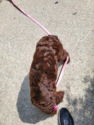 Her fur looks like a chenille blanket