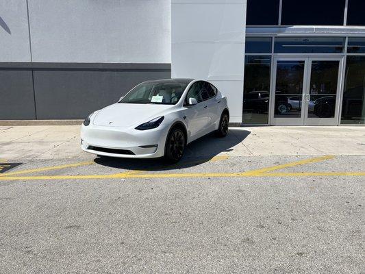 Model Y