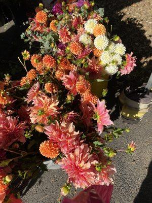 A beautiful selection of beautiful flowers.