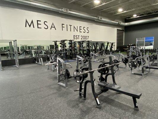 Our newly remodeled Free Weight room! Equipped with dumbbells, barbells, benches, squat racks and MORE!