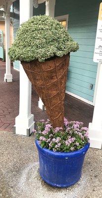 Love the ice cream cone shaped plants!